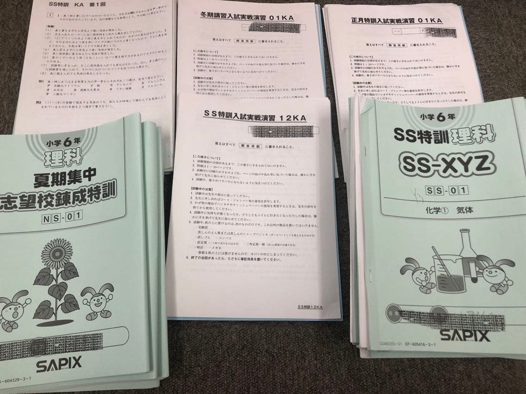 開成対策 サピックス 6年 2025年受験 日特/冬期/正月他 中古 - メルカリ