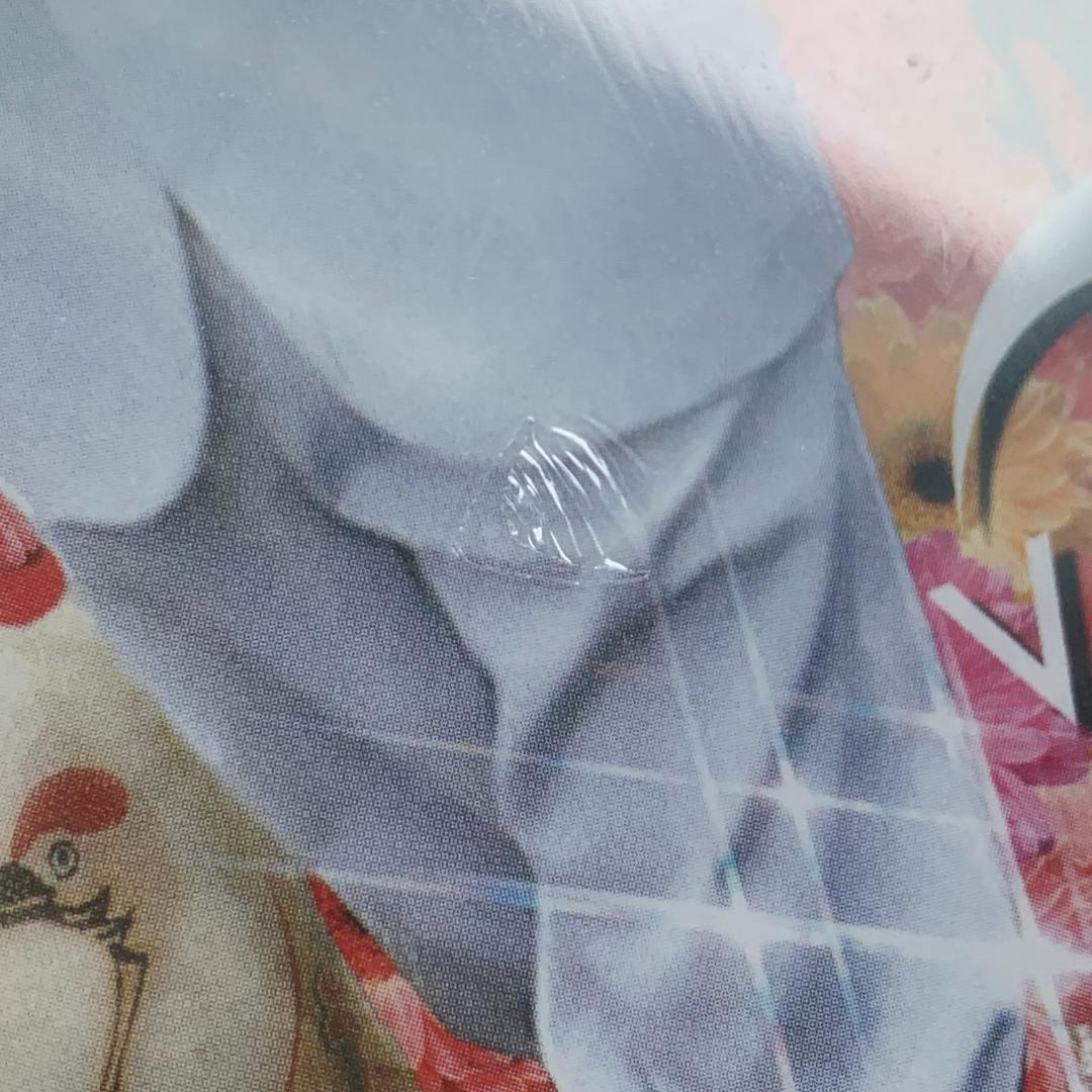 TEMPURA Vol.4：未開封DVD