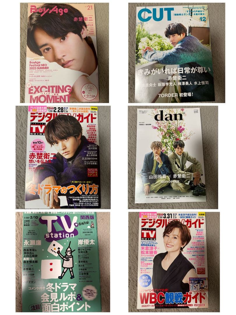 赤楚衛二関連 雑誌 まとめ売り 34冊 - メルカリ