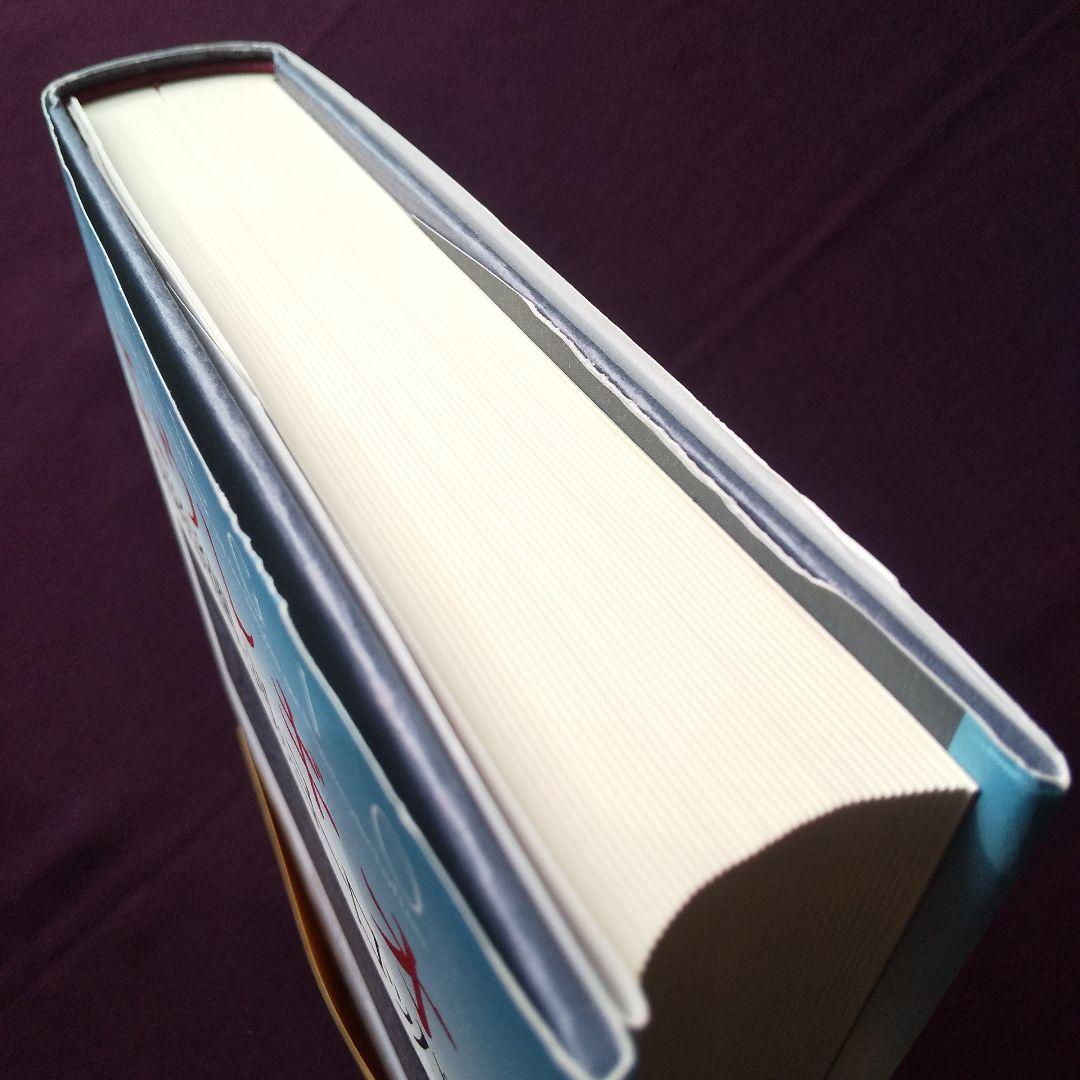 エウレギオ 原経済圏と河のヨーロッパ 渡辺尚 - メルカリ