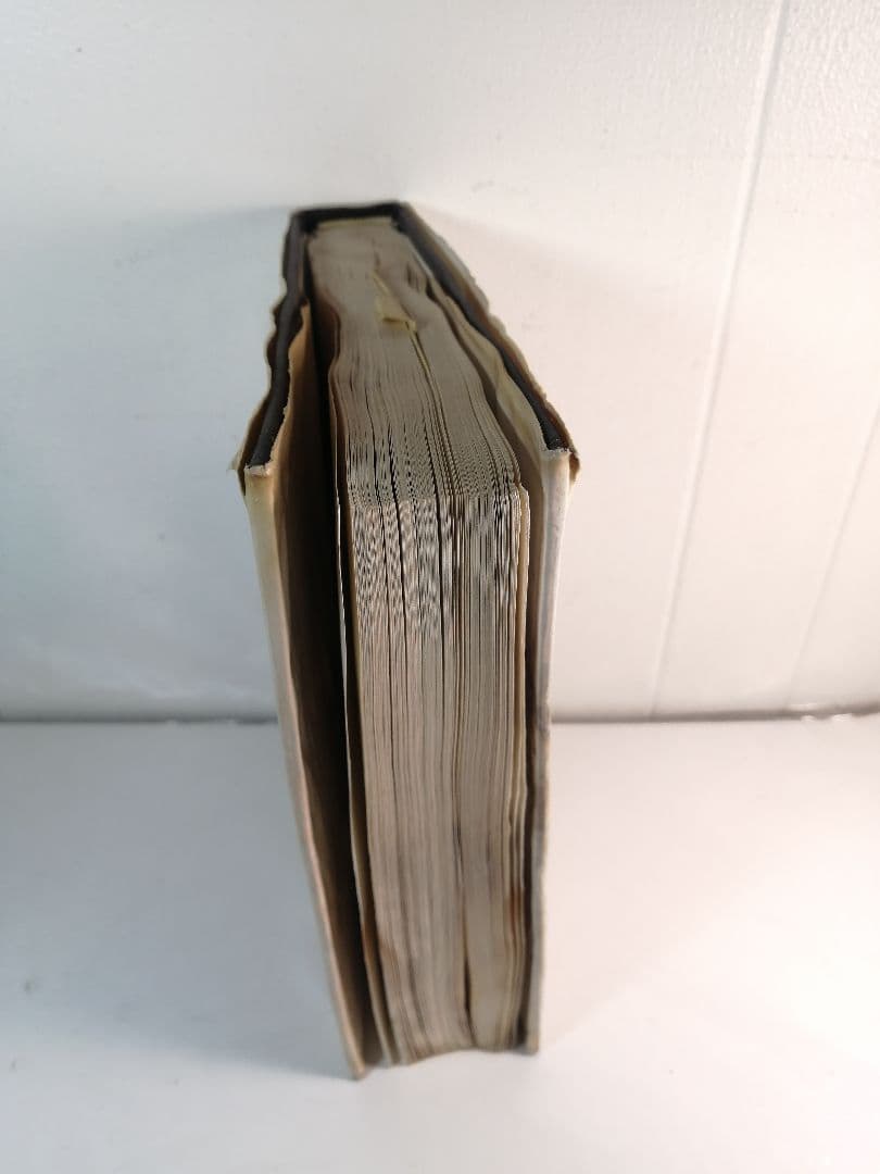 美人の歴史と美女