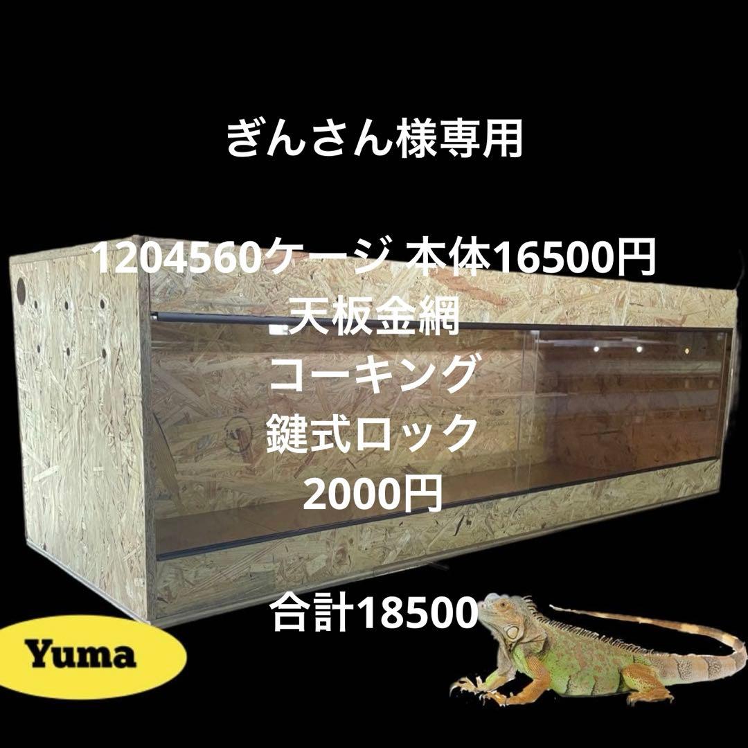 ぎんさん　1204560 s-l400.jpg