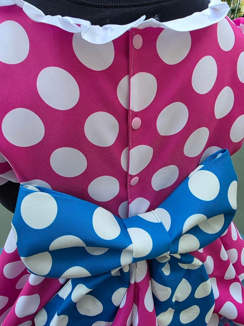 160センチ、Sサイズ ミニー コスプレ パルパルーザ 美品 - メルカリ