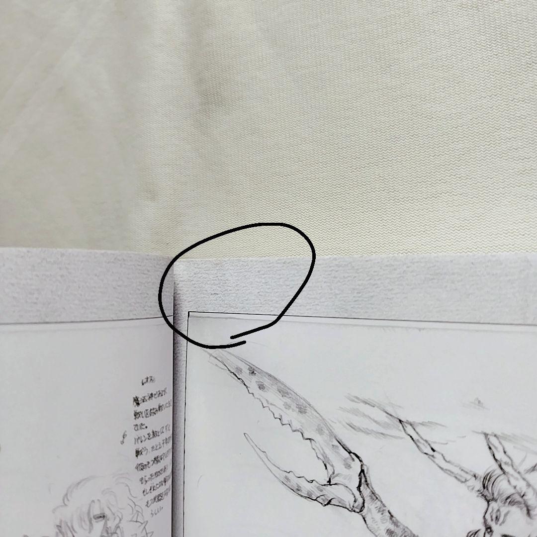 織音計画限定版 ALICESOFT 希少品 画集 アートワーク - メルカリ