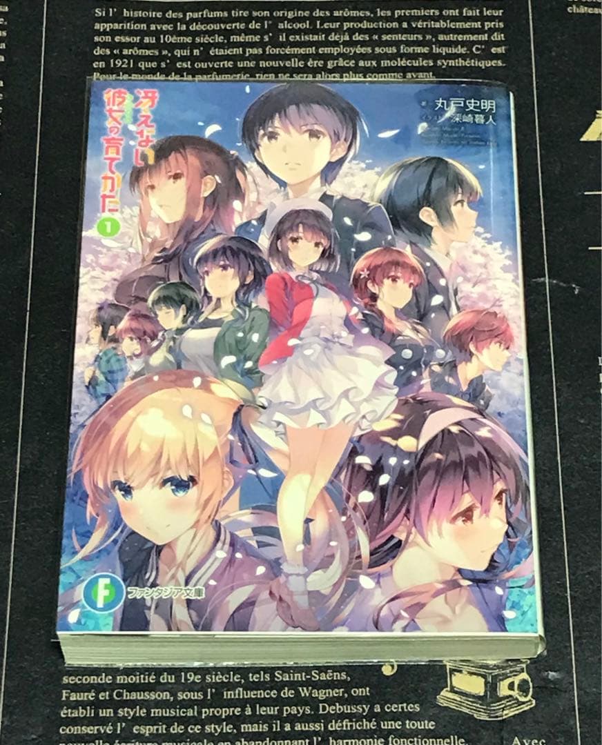 冴えない彼女の育てかた 全巻 セット 全巻 初版 帯付き 20冊 冴え