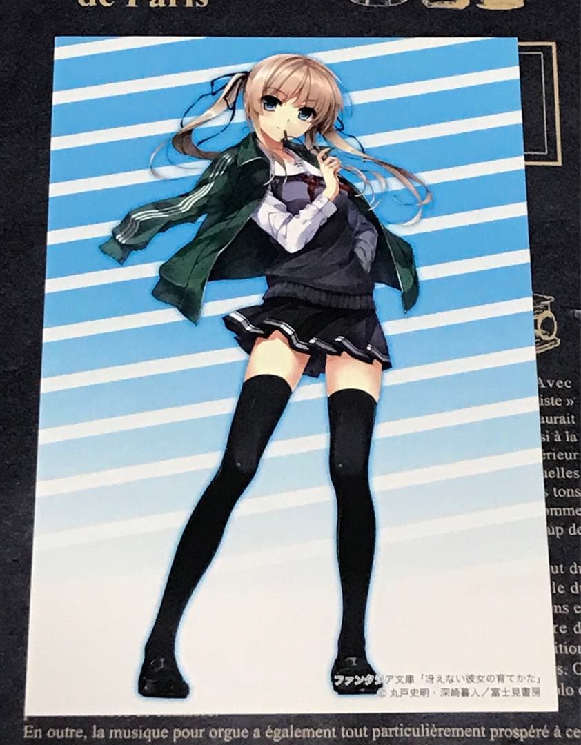 冴えない彼女の育てかた 全巻 セット 全巻 初版 帯付き 20冊 冴え