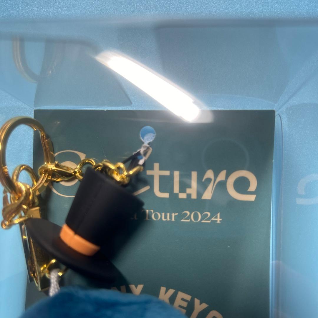 Eve Asia Tour 2024 文化 ぼにぼにキーチェーン - メルカリ