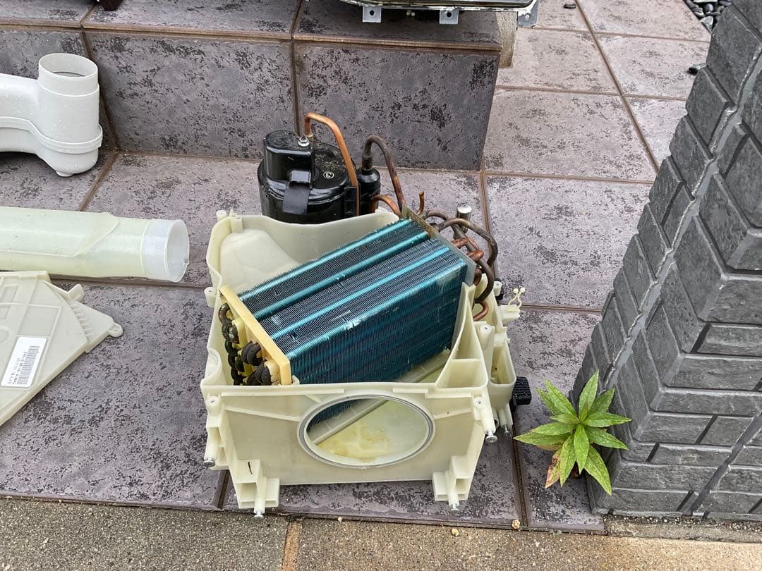 分解洗浄済み】東芝ドラム式洗濯乾燥機 2022年8月購入(動作確認済み