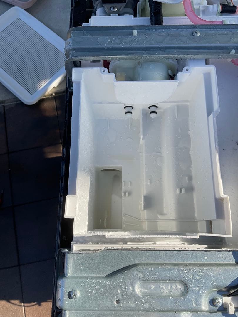 分解洗浄済み】東芝ドラム式洗濯乾燥機 2022年8月購入(動作確認済み