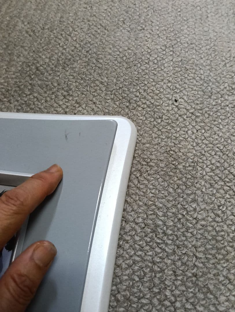 片岡鶴太郎 大鷹 水墨画 色紙に墨 ※購入前にコメント下さい - メルカリ