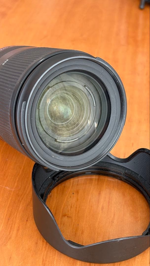 tamron 18-300 F/3.5-6.3 Di Ⅲ-A VC V XD