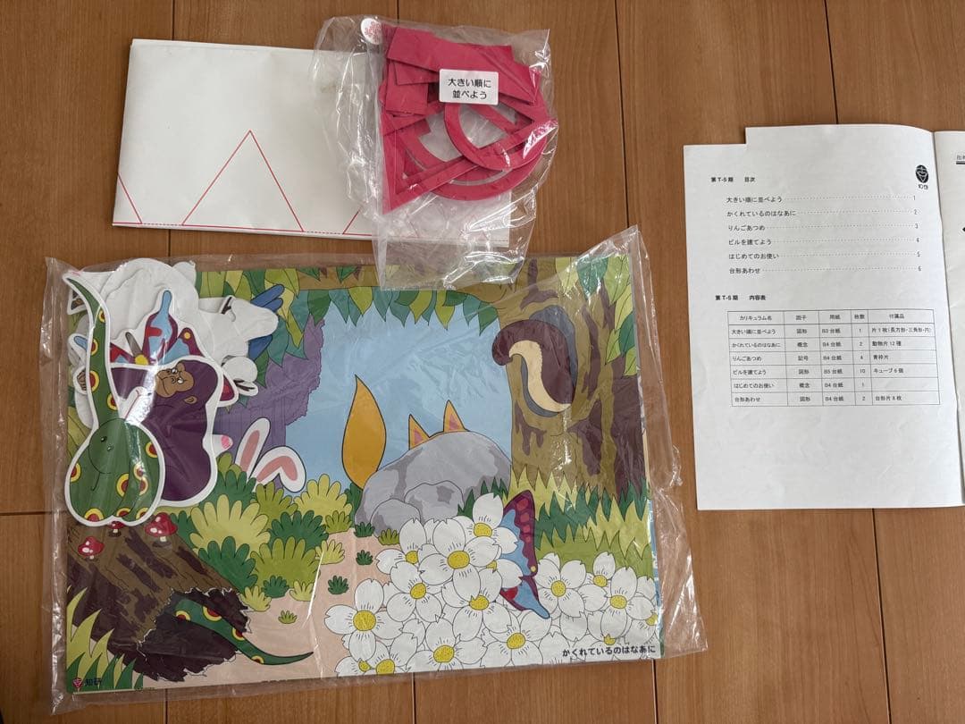 知研プログラム 第Tー5〜8期、Qー9期 - メルカリ