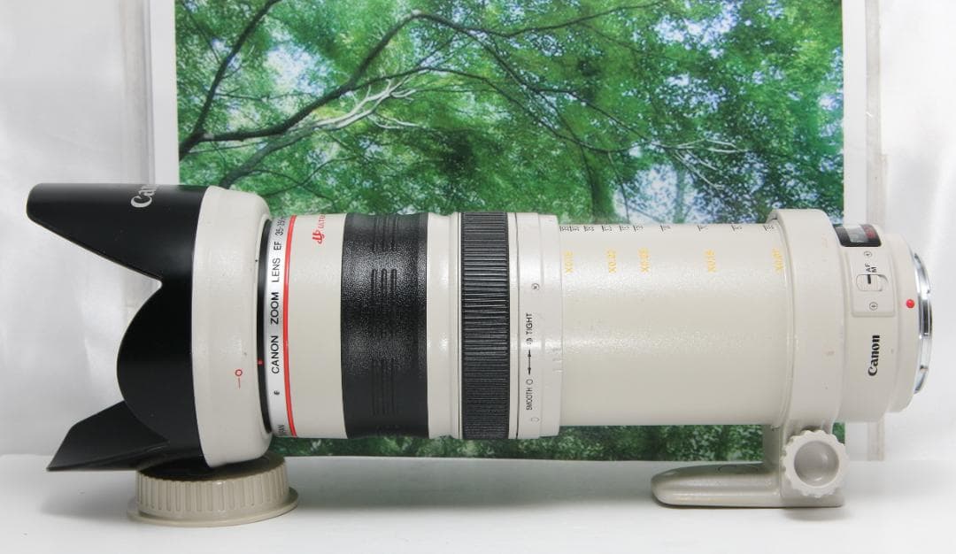 ☆光学超美品の白レンズ♪canon EF 35-350mmL F3.5-5.6☆