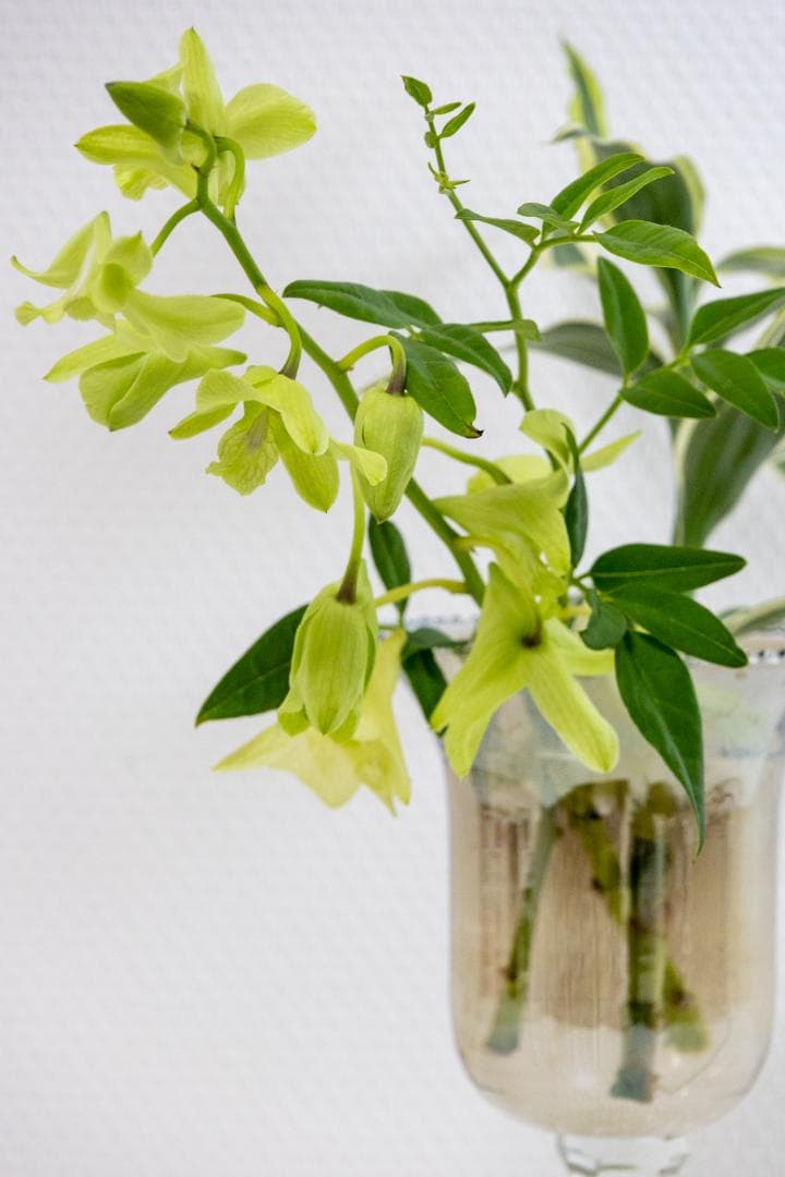 【キャノンレンズ】RF-S18-150mm F3.5-6.3 IS STM