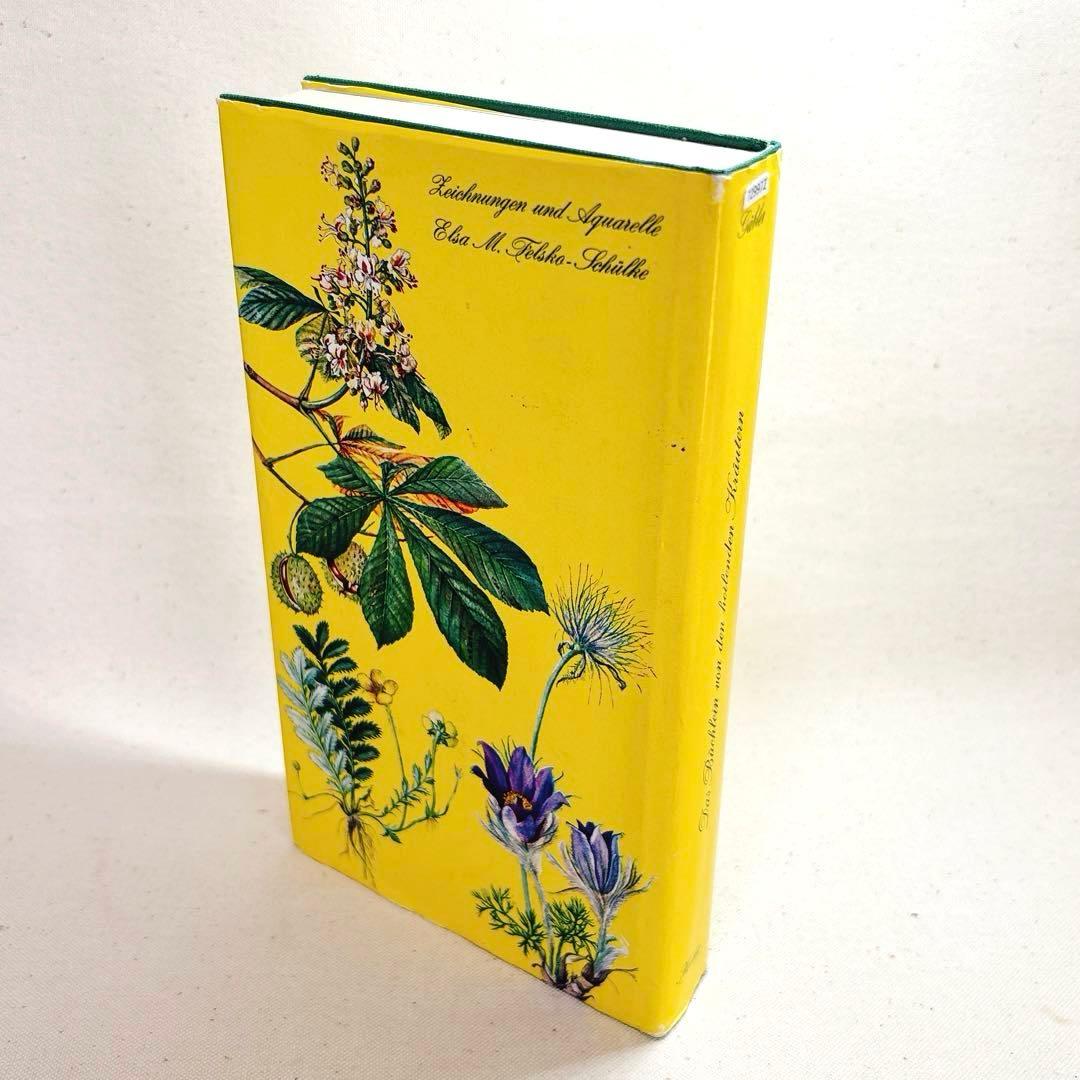 美しい植物画 ドイツ 洋書 図鑑 1963 Elsa Flesko Blumen 2026年最新】elsa felskoの人気アイテム - メルカリ
