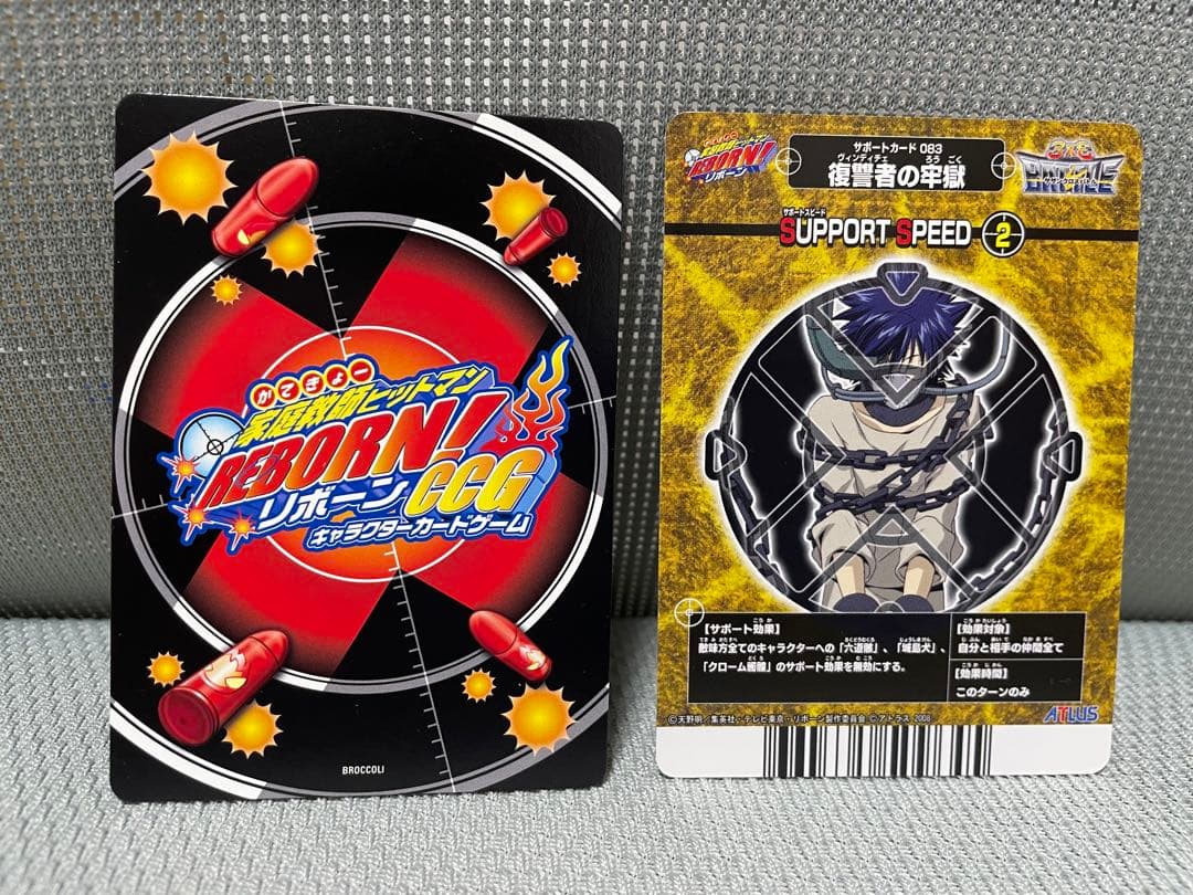 REBORN！】家庭教師ヒットマンREBORN!サザンクロスバトル 2枚セット