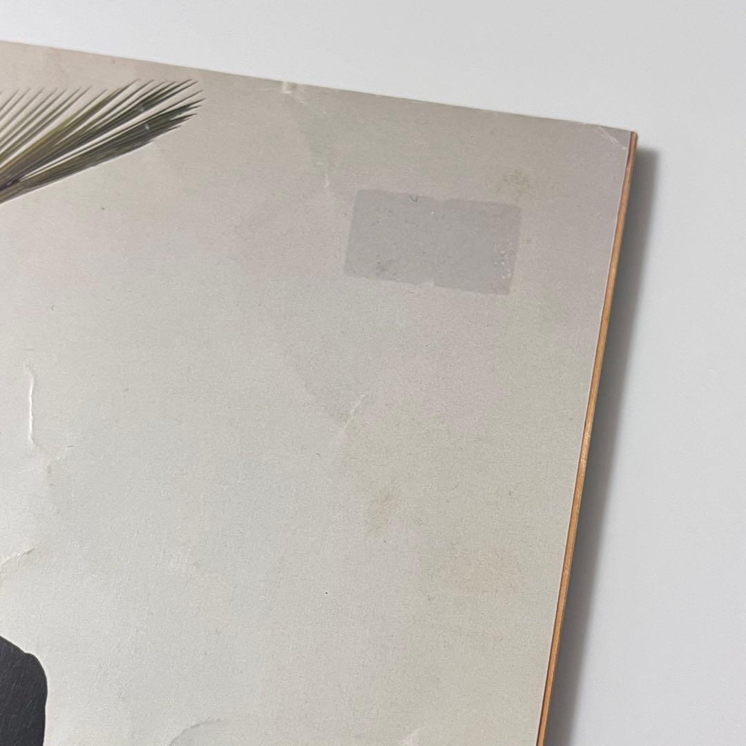 【絶版・レア】store vol.1 vol.2 立花文穂 有山達也