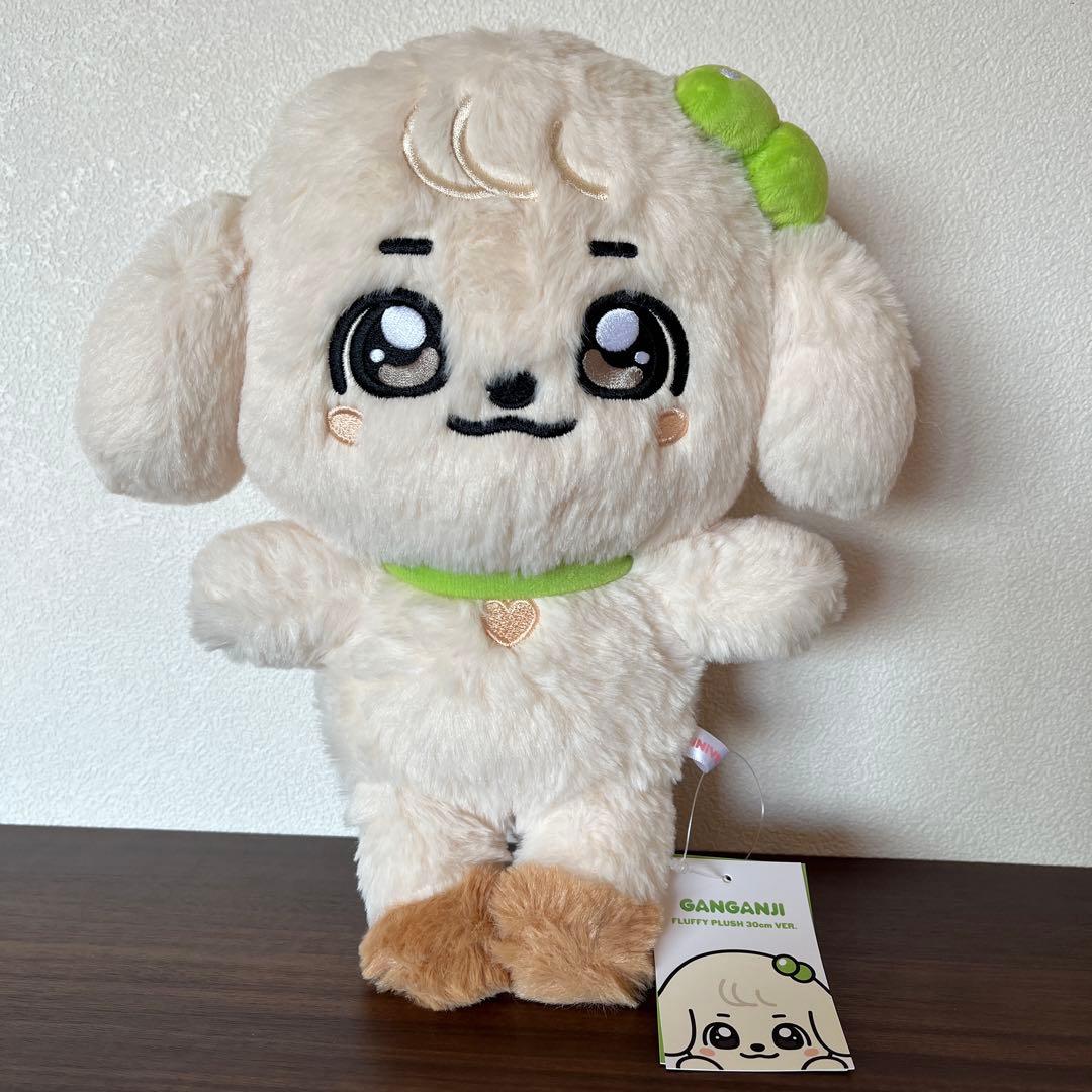 GANGANJI ガンガンジ＊30cm／IVEユジン（YUJIN）／minive - メルカリ