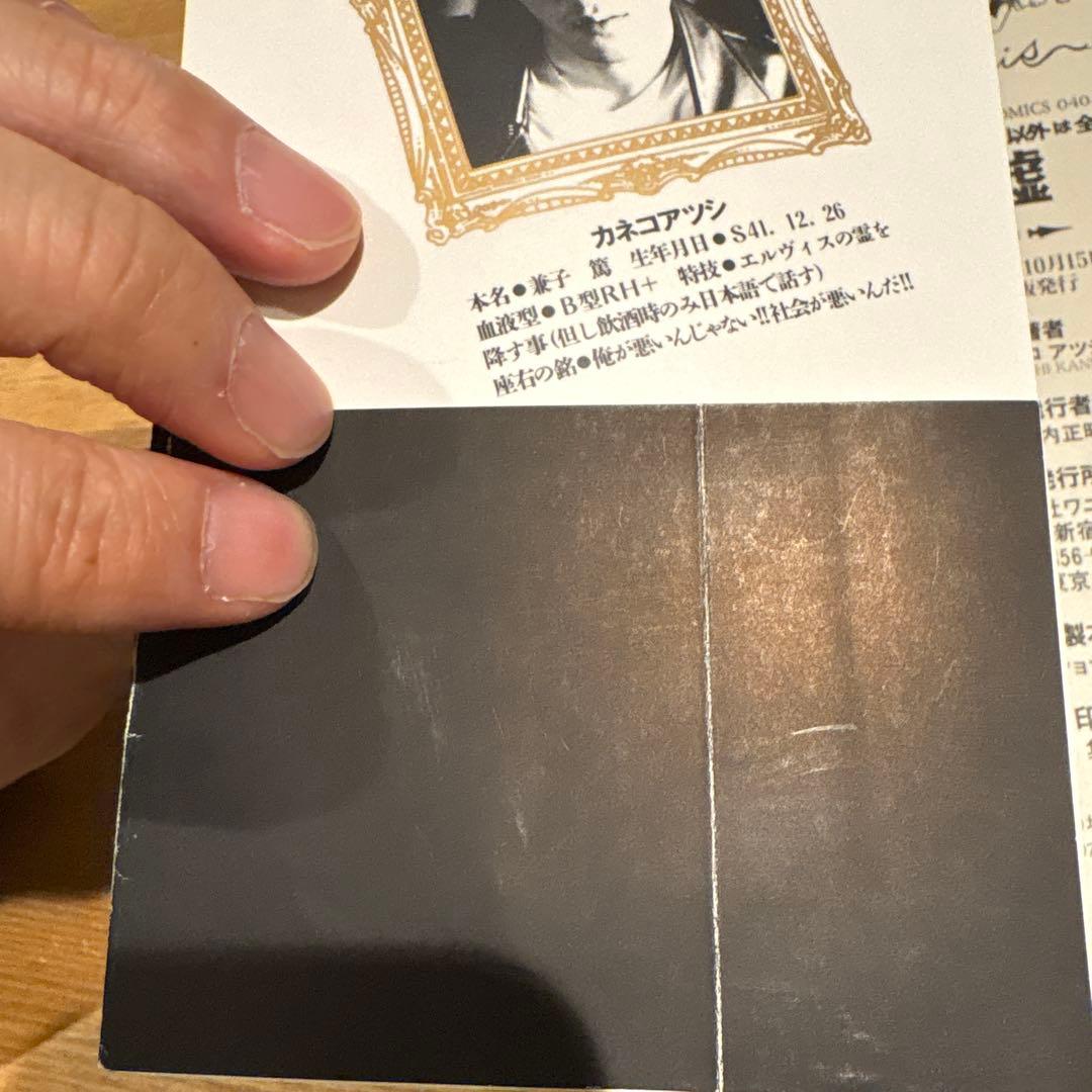 【絶版】ロックンロール以外は全部嘘　カネコアツシ