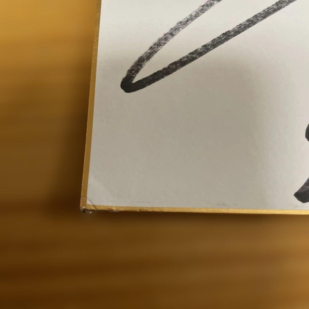 坂井瑠星 騎手 サイン色紙 ダービーパンフ付き - メルカリ