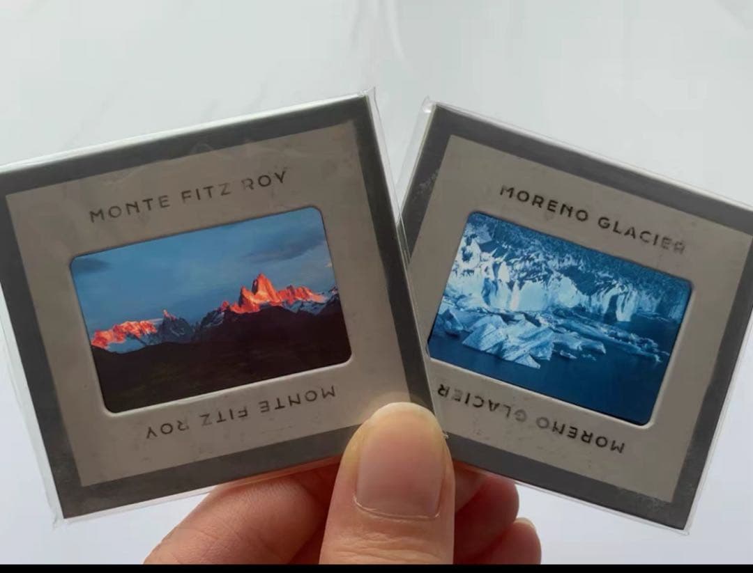 特典付き】即日発送 リバース：1999 レコード 復楽園 プレミアム