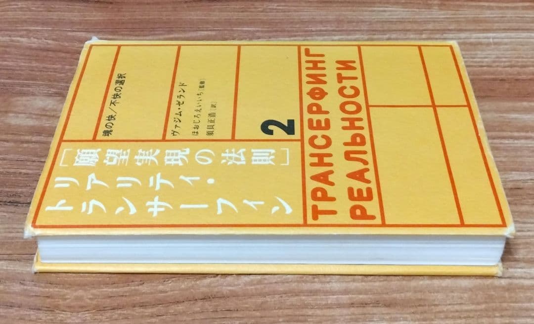 願望実現の法則 : リアリティ・トランサーフィン2 : 魂の快/不快の選択