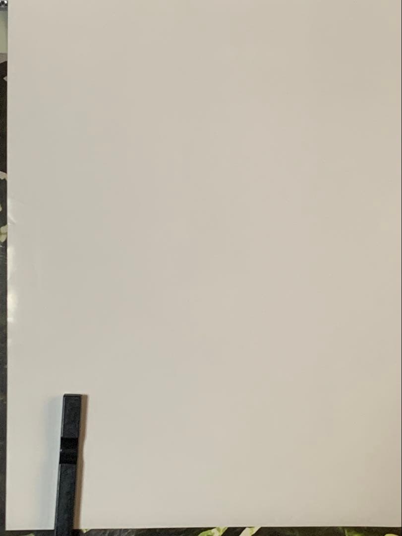 【B2・表面フチ痛みあり】 lain アニメ版 VHS/LD 販促 ポスター