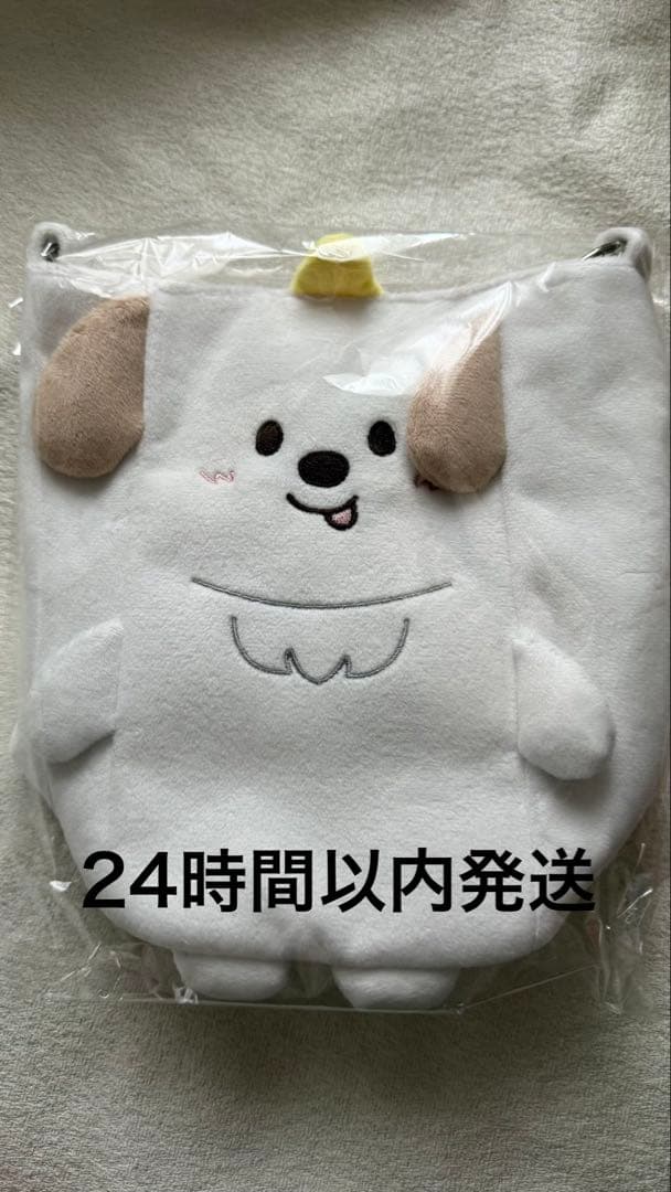 RIIZE 東京ドーム FANLIGHT グッズ ペンライトバッグ アントン - メルカリ