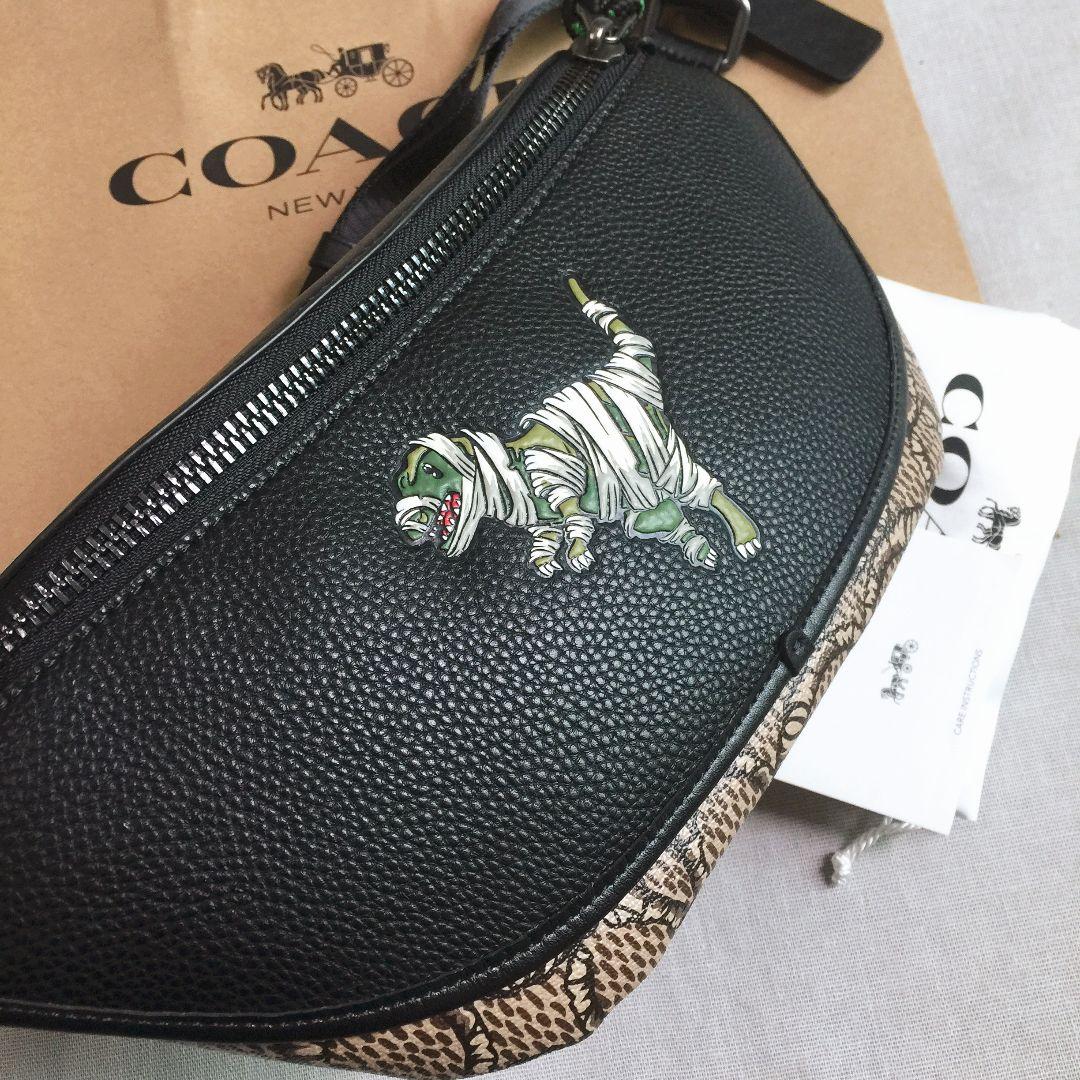 ◇新品◇COACHバッグ C6928 レキシー コーチ Xマイケル ジョーダン