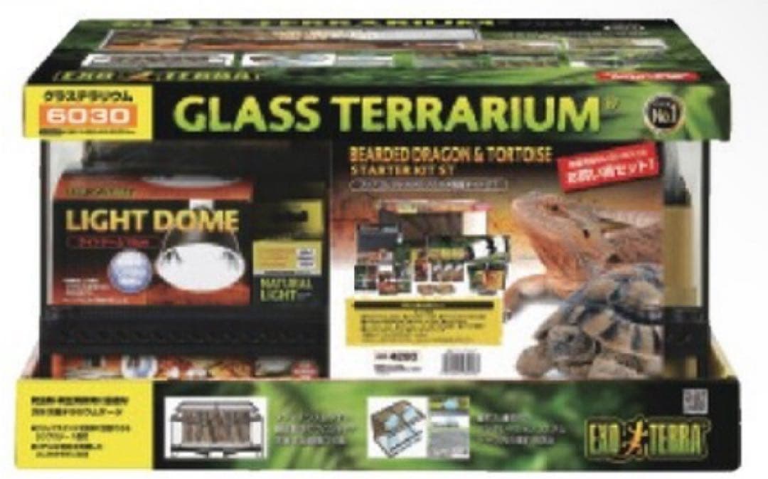 カズ　フトアゴヒゲトカゲ飼育セット 楽天市場】【初心者向け】フトアゴヒゲトカゲ＆リクガメ飼育セットA