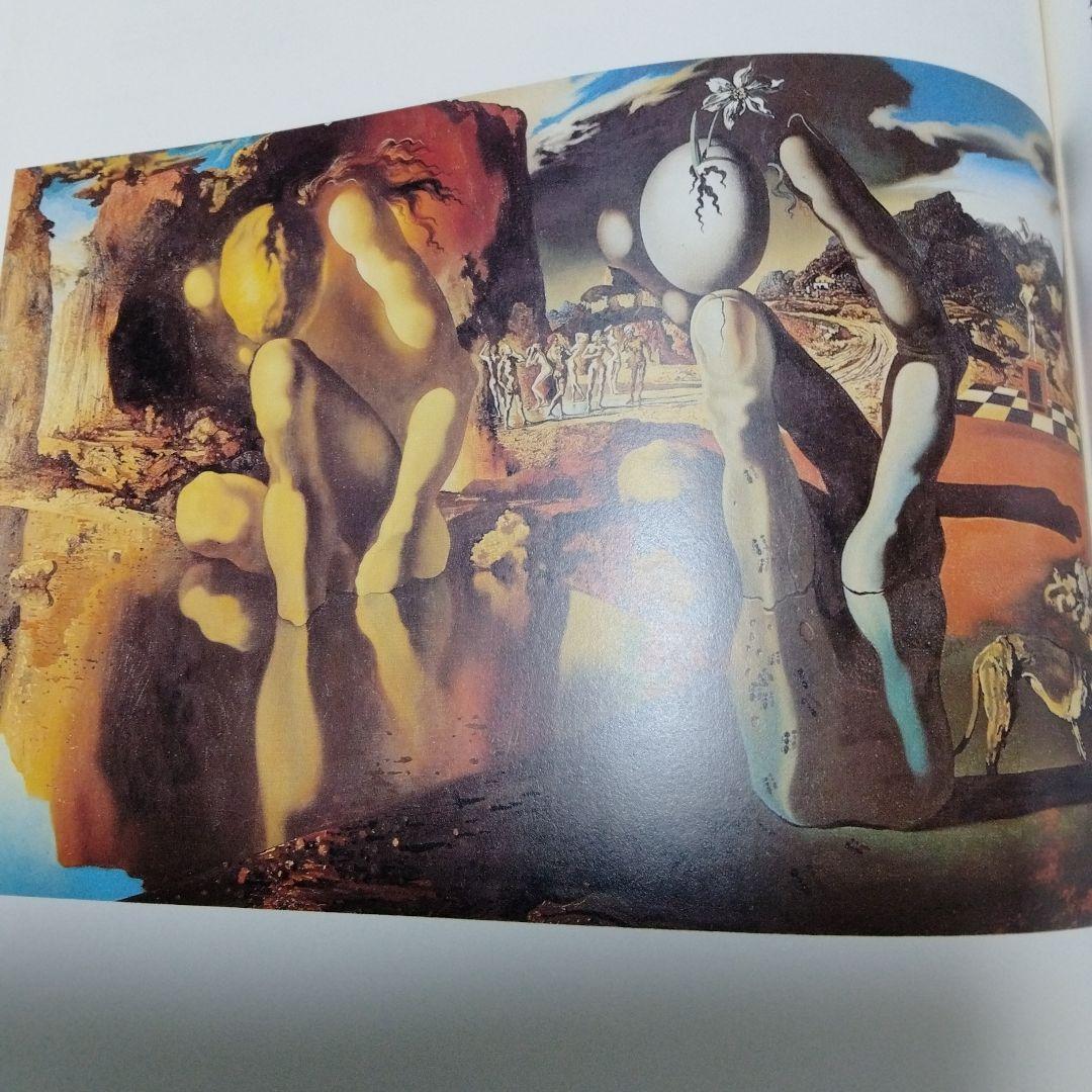 ダリ回顧展 図録 1980年 ポンピドーセンター 近代美術館 大型本 布装