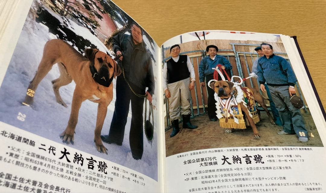 全日本土佐犬全集大鑑 第二編 ※ジャンク品※ - メルカリ
