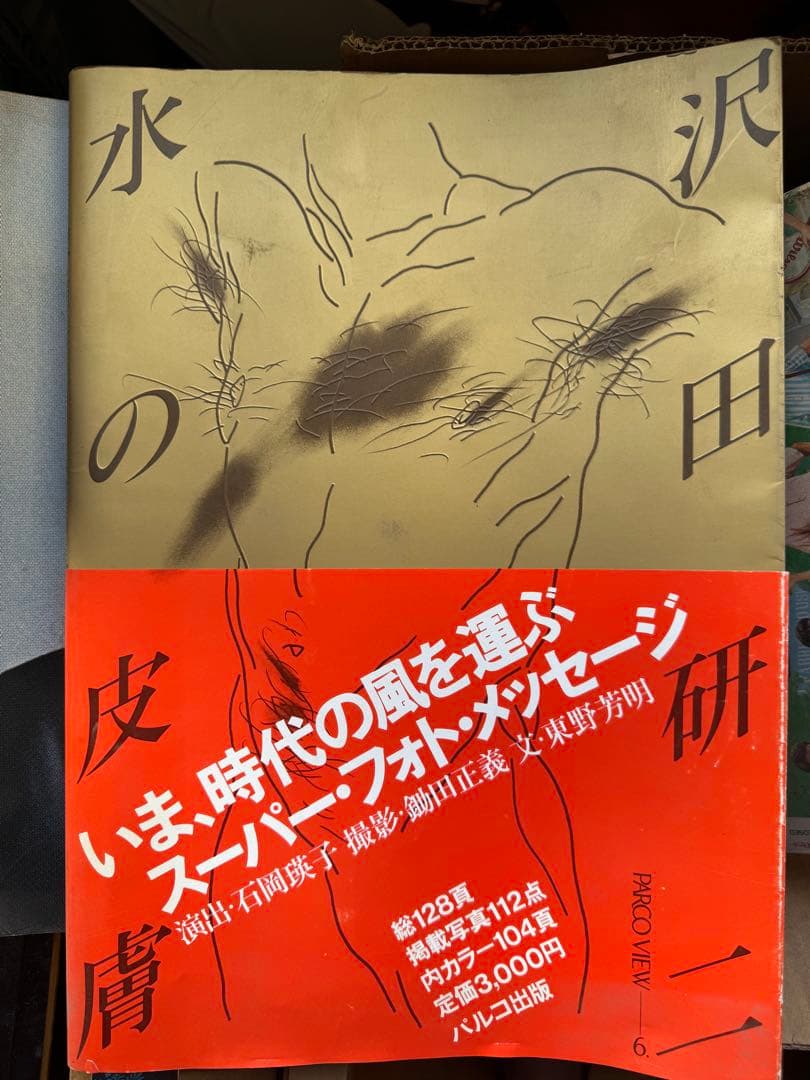 沢田研二 水の皮膚 写真集 - メルカリ