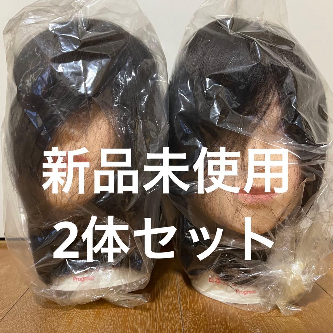 カットウィッグ　人毛100% プログレーソ 日本カットアカデミー 2体セット とにかく安い！ 美容師 NBAA カットウィッグ スー NB-WSC01 マネキン