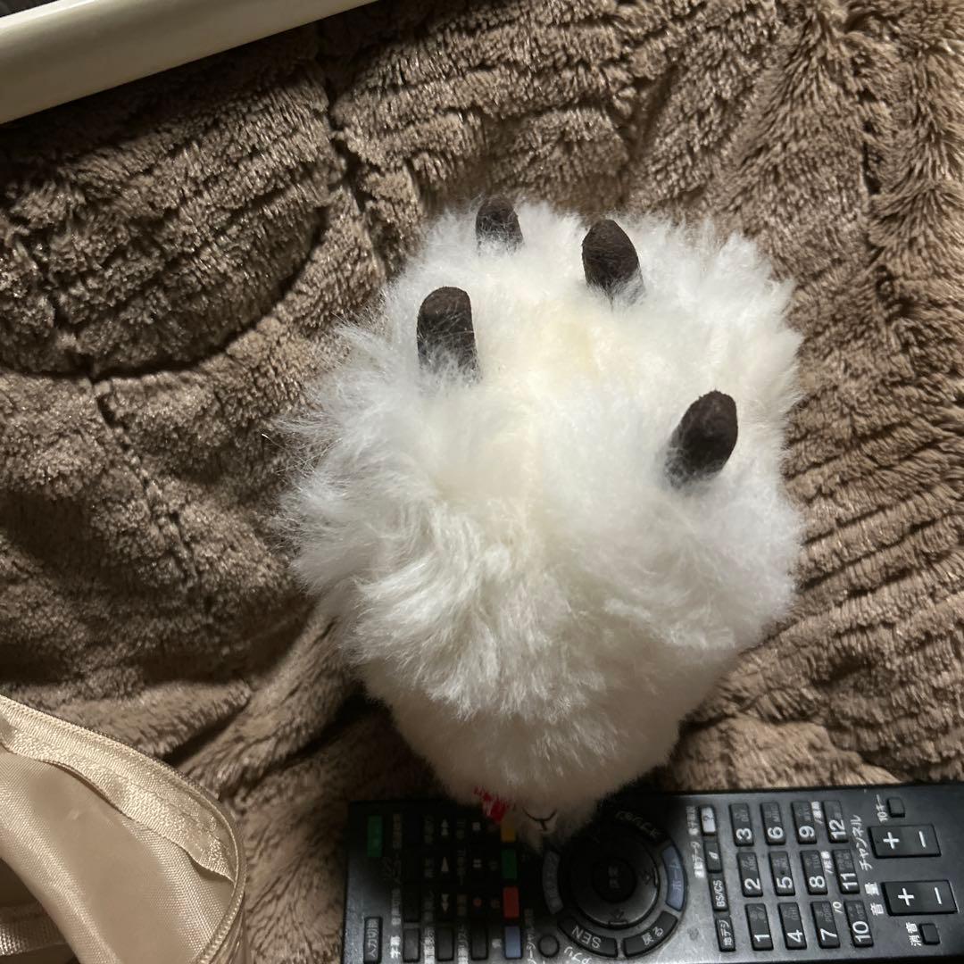 ペルー現地購入 アルパカぬいぐるみ5点セット