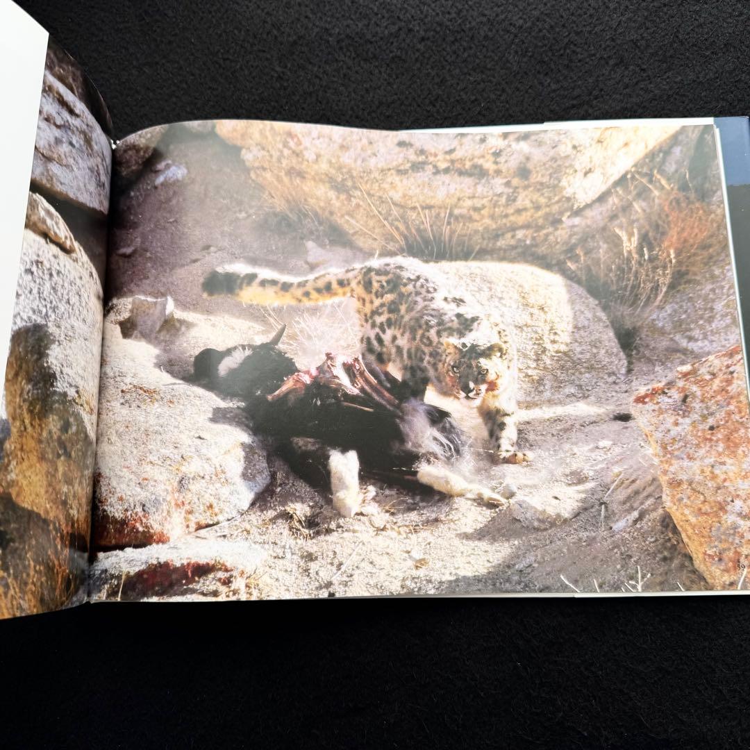 絶版】「神の獣 雪豹」秋山知伸 監修 2019年 ラーテルハート WWF