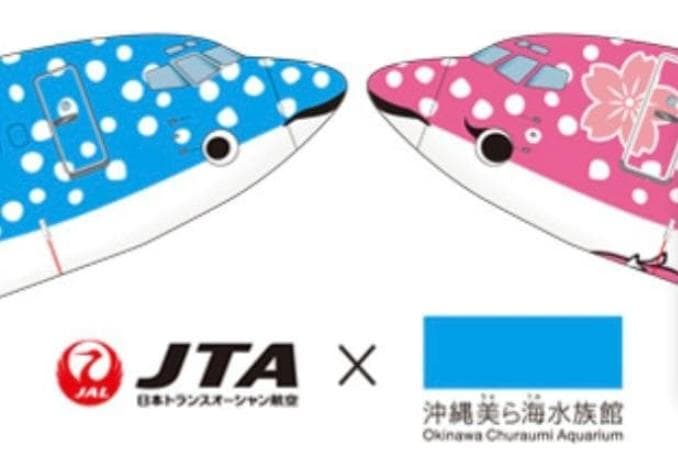 大人気】JTA さくらジンベエ スナップインモデル 1/130【匿名新品