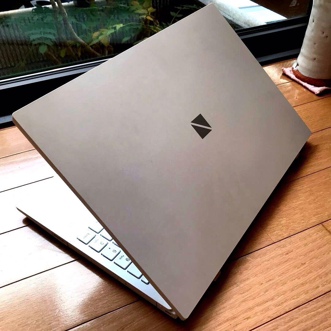 NEC LaVieDirect(M.2NVMeSSD 256GB＋1TBHDD) NEC LaVieDirect(M