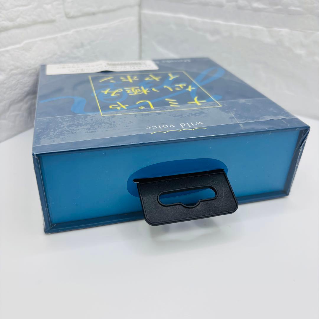 未使用】wild voice ナミじゃない極みイヤホン 完全ワイヤレスイヤホン