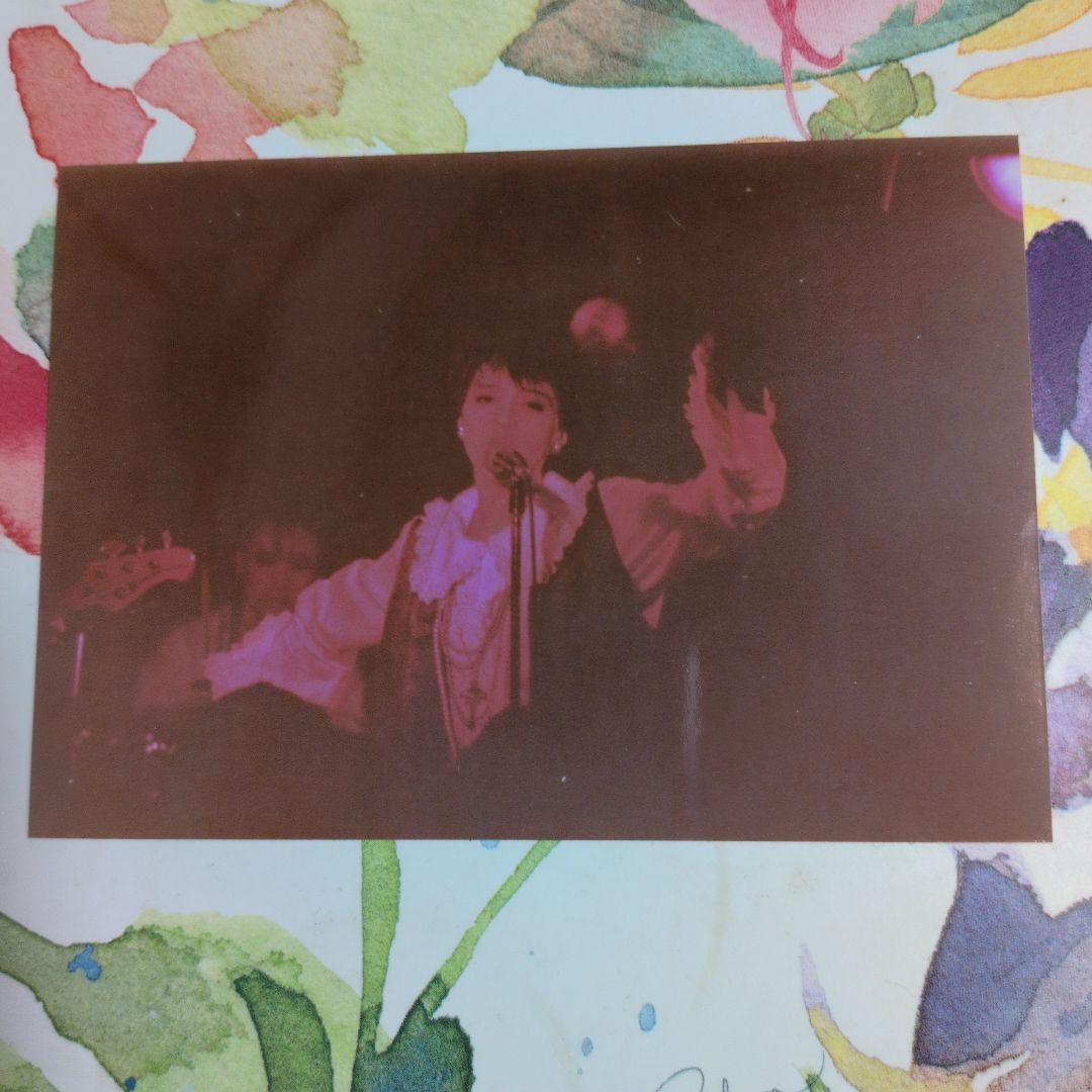 G-SCHMITT 1st 20cmソノシートRBFレーベル、写真付き - メルカリ