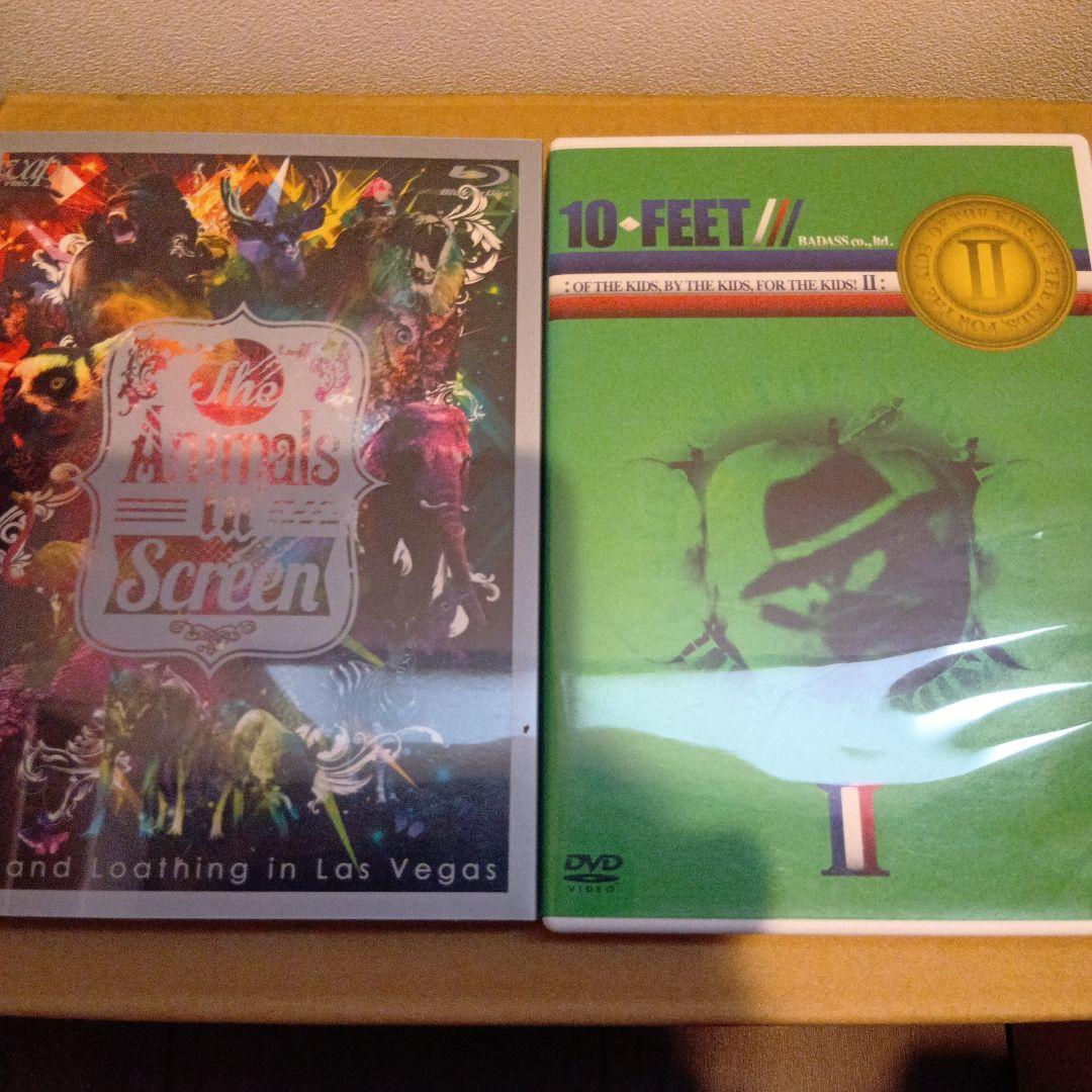 メロコア音楽DVD13枚セット - メルカリ