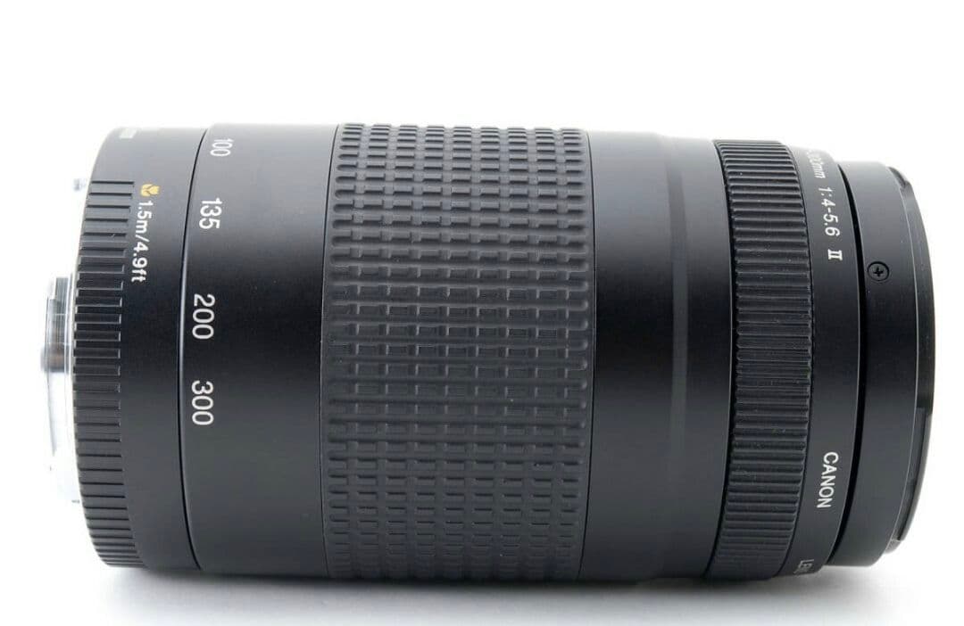 5月15日限定特価♪【超望遠レンズ】Canon EF 75-300mm Ⅱキヤノン、3万