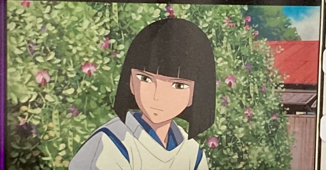 千と千尋の神隠し ハク 千 千尋 湯婆婆 龍 おにぎり フィルム - メルカリ