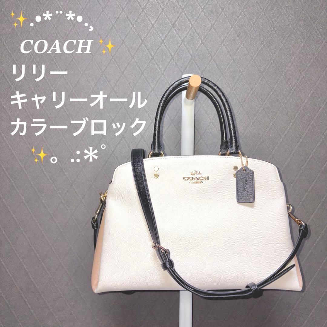 COACH リリーキャリーオール カラーブロック 保存袋付き - メルカリ