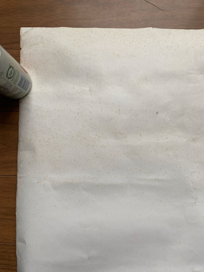 激レア！ヴィンテージ PHISH Billy Breathes ライブ・ポスター - メルカリ