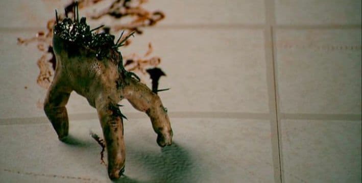 廃盤】ダスク・オブ・ザ・デッド DVD ホラー グロテスク モンスター