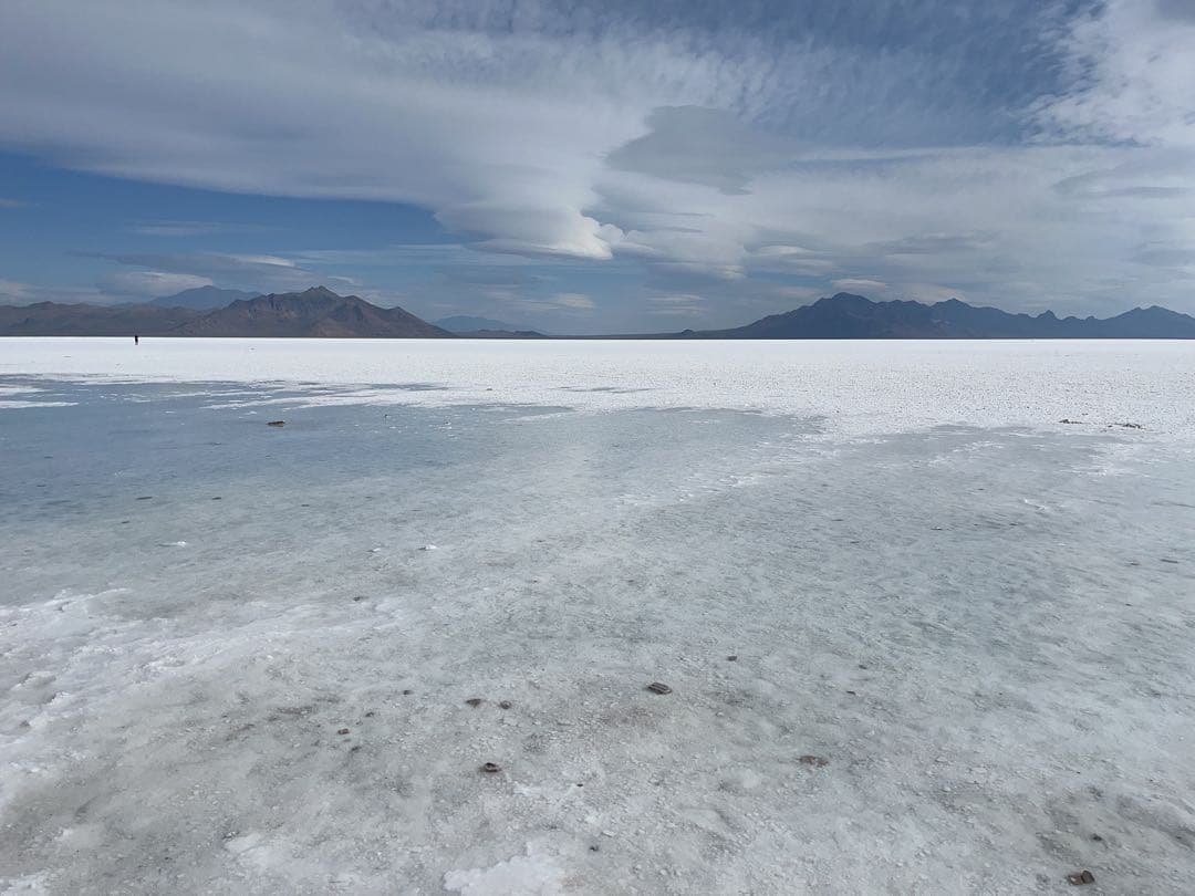 きなこもち　ニュースキン製品 チロルきなこもちみたいなもちっとグミ【秋冬限定】 - モントワール