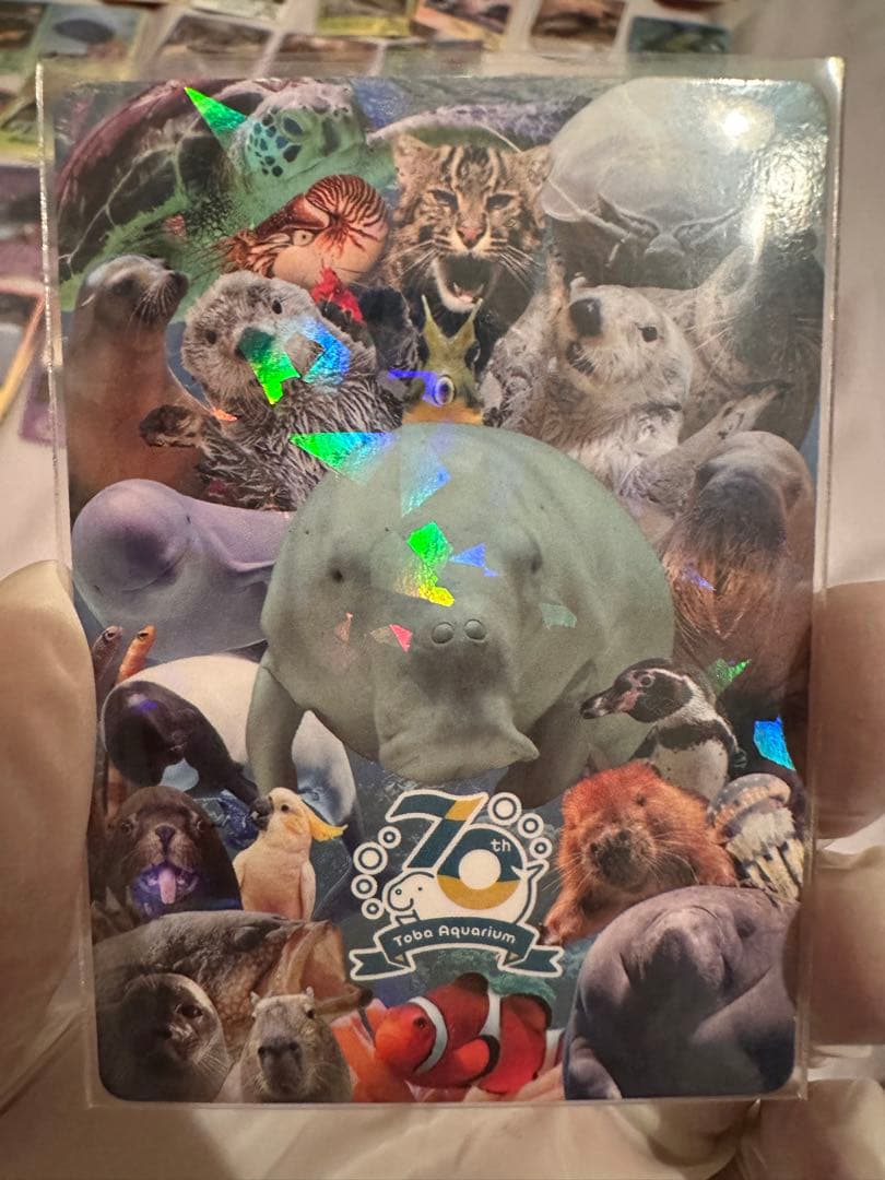 激レア】鳥羽水族館の生きものたち（鳥羽水族館70周年コレクション