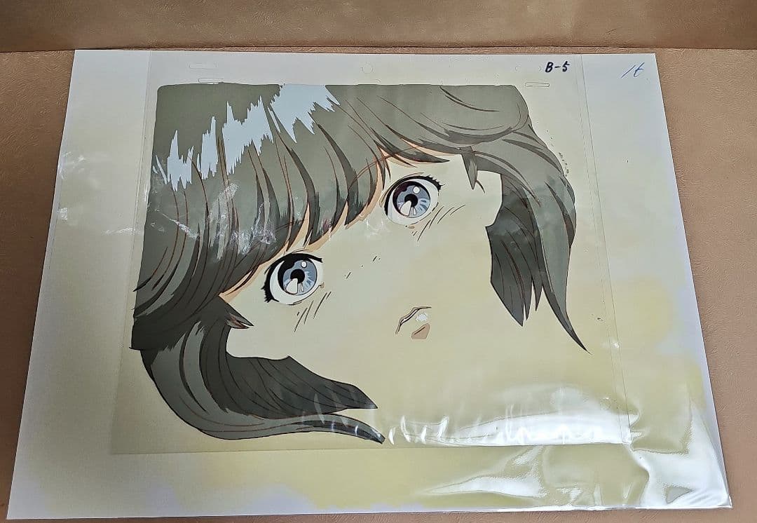 電影少女 ビデオガール 天野あい セル画&背景 Amazon.co.jp: 電影少女 ビデオガール 天野あい 背景動画なし