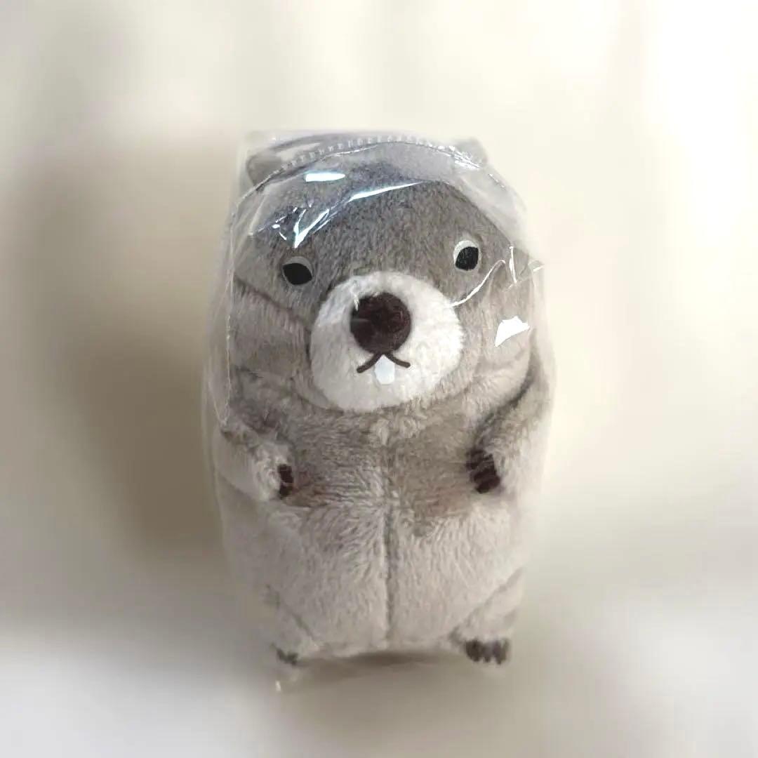 新品 マーモットのもっとっとモア vmc マスコットぬいぐるみ チャン